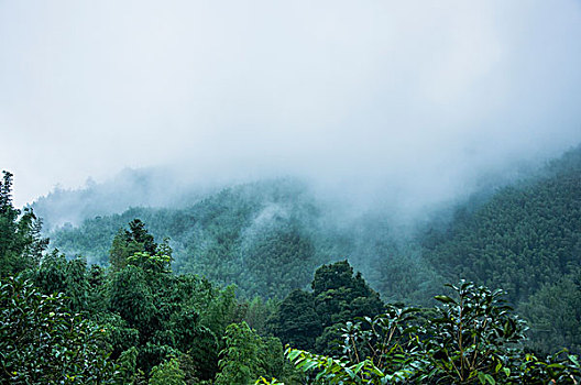 雨雾山景