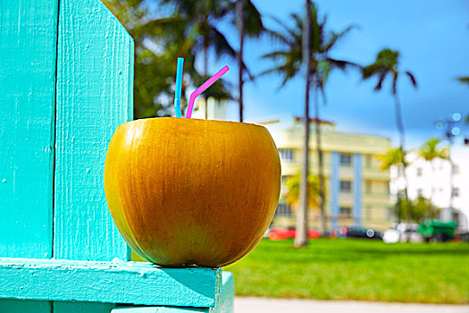 迈阿密,南海滩,椰树,饮料,吸管,佛罗里达