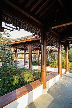 宁波植物园景观