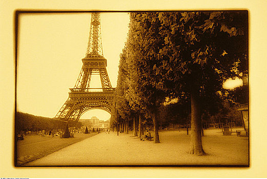 埃菲尔铁塔,树,巴黎,法国