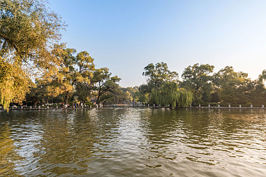 秋季中国抚顺清晨阳光下的公园池塘树林假山
