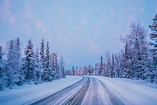 遙遠,冬天,道路,積雪,樹林,樹,藍天,拉普蘭,芬蘭