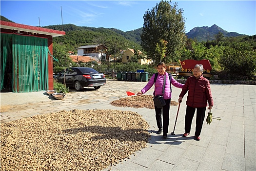 山东省日照市,昔日小山村蝶变美丽乡村打卡地