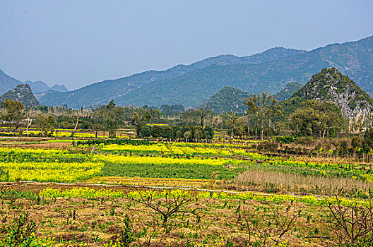 田园春色