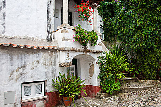 欧洲,葡萄牙,奥比都斯,街道,一个,美景,中世纪,乡村,12世纪