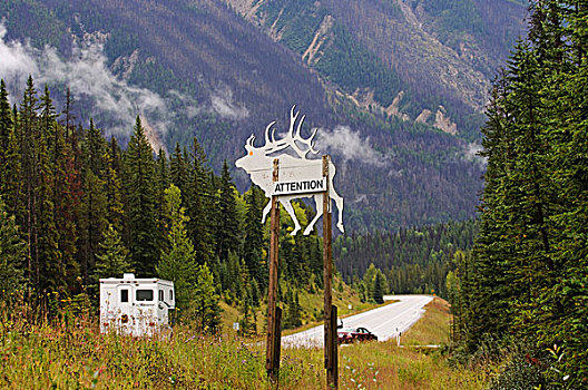 警告标识,鹿,泛加公路,不列颠哥伦比亚省,加拿大