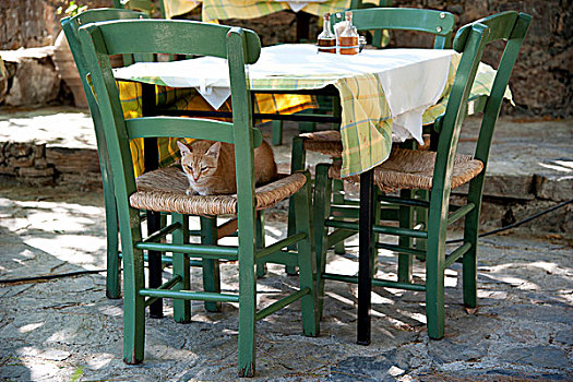 坐,绿色,椅子,桌子,酒馆,克里特岛,希腊,欧洲