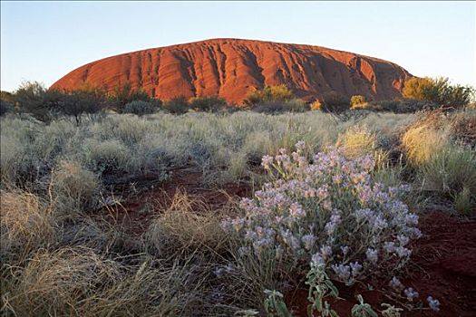 日落,艾尔斯巨石,乌卢鲁国家公园,北领地州,澳大利亚