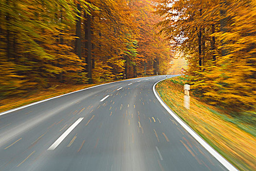 道路,风景,景色,路线,秋日树林,施佩萨特,弗兰克尼亚,巴伐利亚,德国