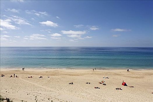 海滩,富埃特文图拉岛,加纳利群岛