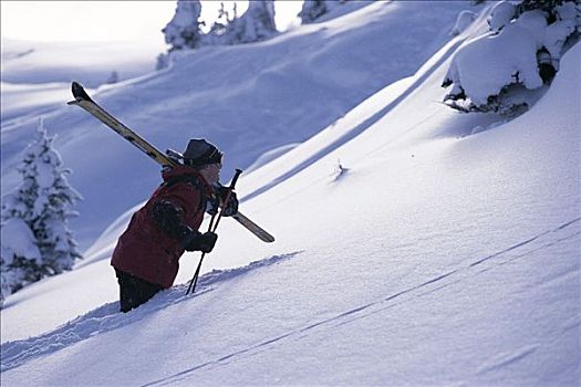 男人,走,大雪,滑雪,艾伯塔省,加拿大