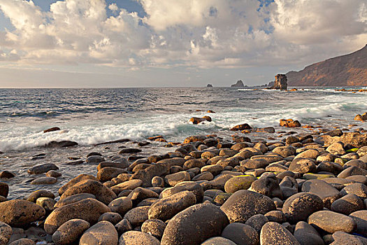 海岸,风景,石头,埃尔格尔奉,加纳利群岛,西班牙,欧洲
