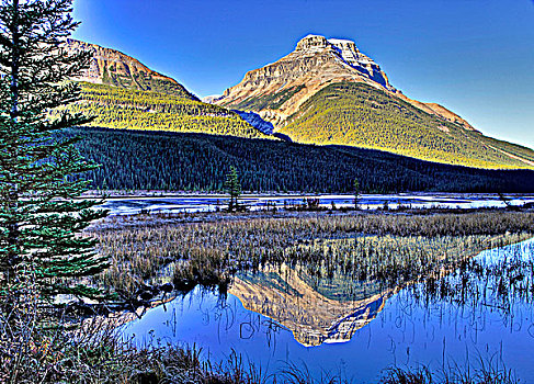 山,反射,北方,河,班芙国家公园,艾伯塔省,加拿大