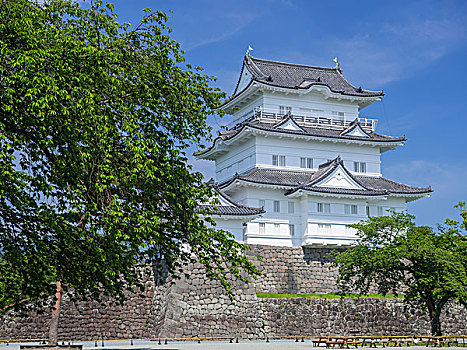小田原,城堡