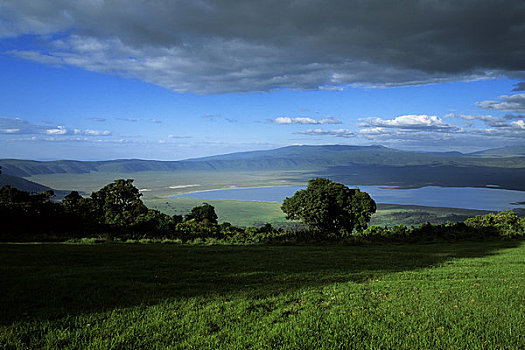 坦桑尼亚,恩戈罗恩戈罗火山口,俯视