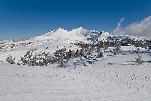 冬季风景,顶峰,山,施蒂里亚,奥地利,欧洲