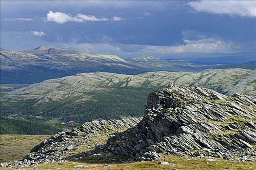 风景,国家公园,挪威,斯堪的纳维亚,北欧