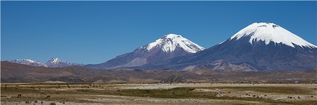 高原,全景