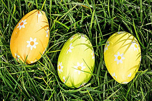 三个,复活节彩蛋,草,俯视