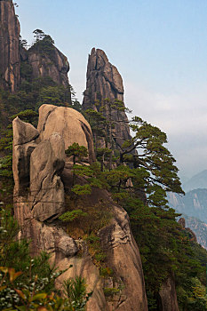 奇峰劲松三清山