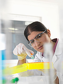 女性,科学家,检查,化学品,样品,实验室