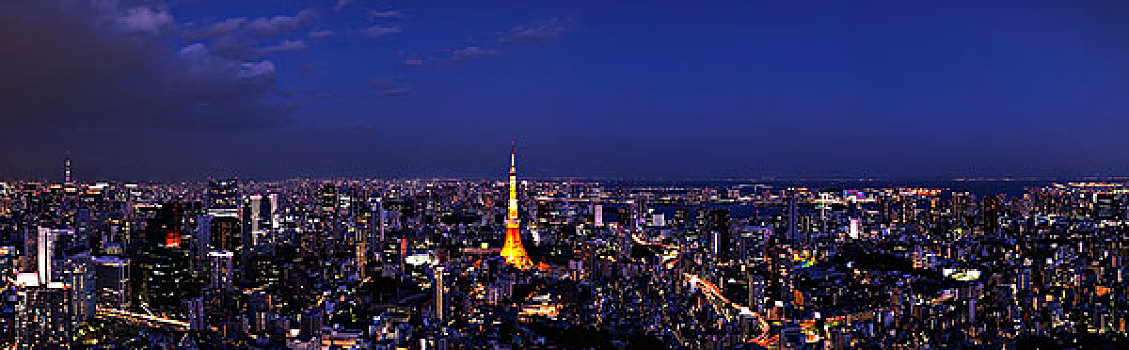 城市,全景,夜晚,东京,日本,亚洲