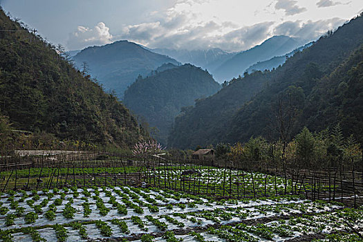 怒江,独龙江,怒江大峡谷,怒江州,东大峡谷,普卡王家村