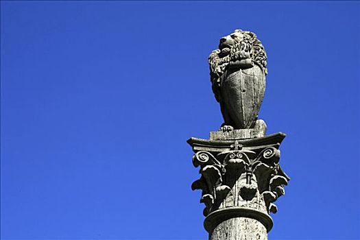 特写,柱子,蒙蒂普尔查诺红葡萄酒,托斯卡纳,意大利
