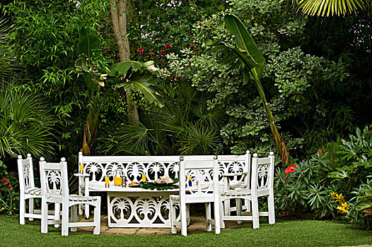 木质,花园桌,椅子,棕榈树