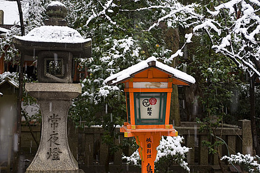 日本,京都,神祠,日本神道,雪中,红灯笼