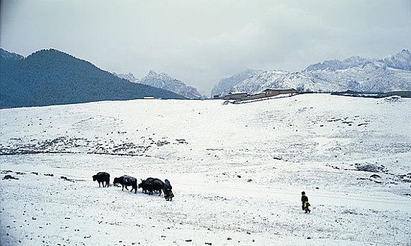 甘肃兰州雪景