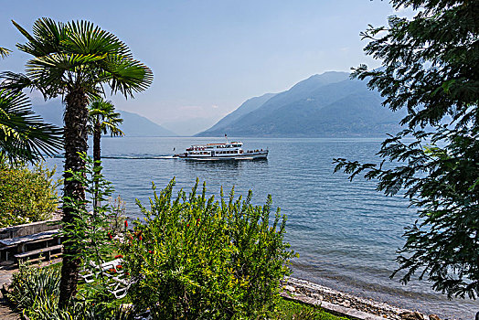 花园,酒店,马焦雷湖,提契诺河,瑞士