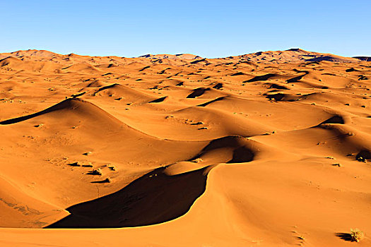 沙丘,却比沙丘,摩洛哥