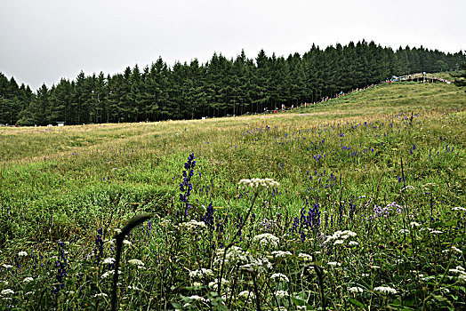 河北省石家庄市平山县驼梁风景区