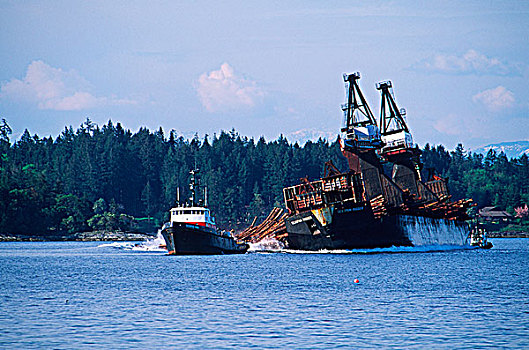 原木,驳船,装载,海洋,不列颠哥伦比亚省,加拿大