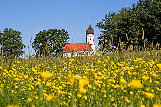 小教堂,花,草地,巴伐利亚,德国,欧洲