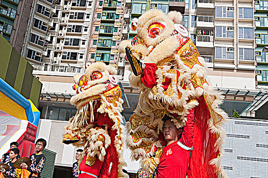 狮子,跳舞,庆贺,春节,香港