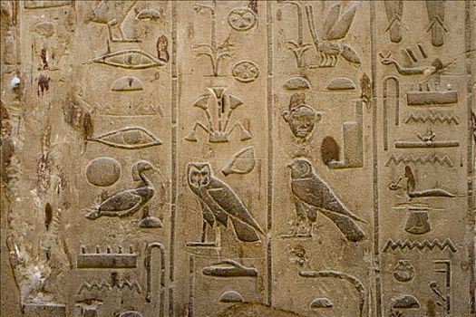 象形文字,卢克索神庙,路克索神庙,尼罗河流域,埃及,非洲