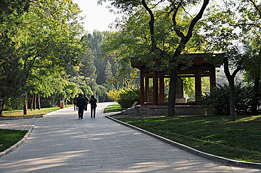 行人,人行道,城市公园,北京,中国