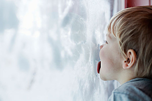 男孩,舔,室内,积雪,窗户