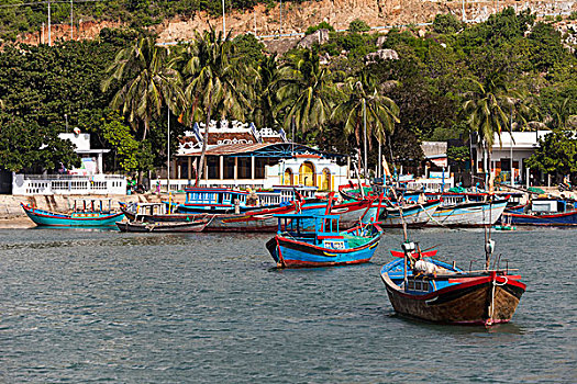 渔船,湾,南海,越南,亚洲