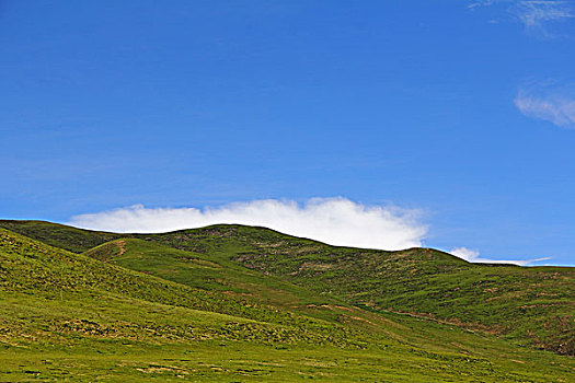 草地云山