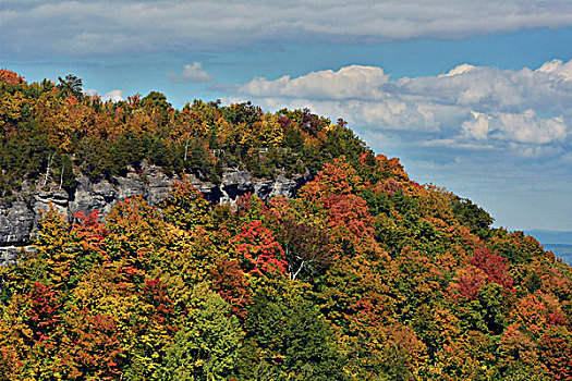 秋色,茅屋匠,州立公园,纽约,美国