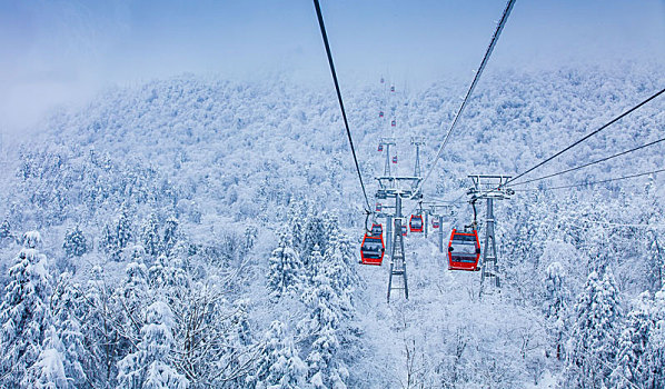 西岭雪山大雪的美丽风景