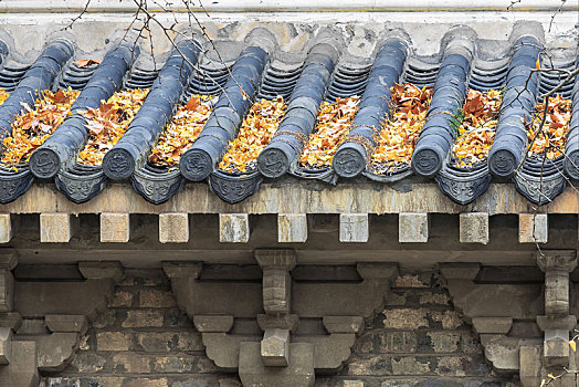 古建筑屋顶落叶,南京灵谷景区志公殿
