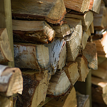 一堆,木柴,湖,木头,安大略省,加拿大