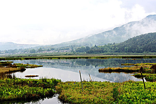 腾冲湿地