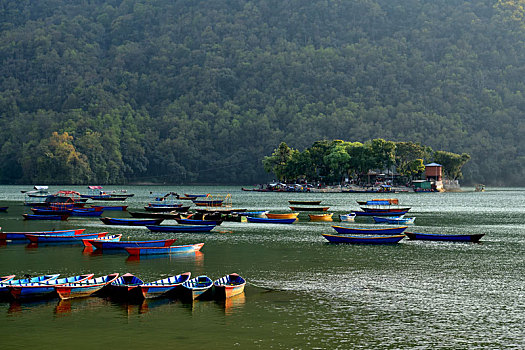 尼泊尔博卡拉费瓦湖游船