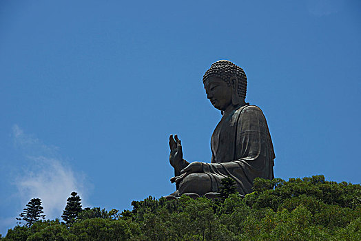 大佛,蓝天,树林,香港