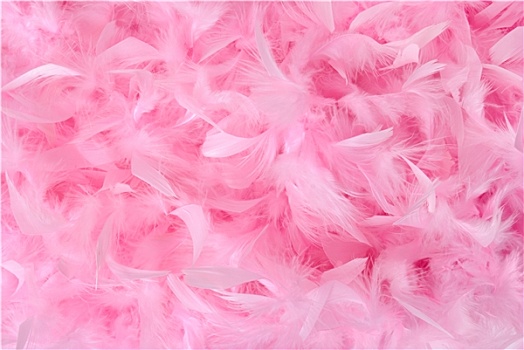 粉色,羽毛,堆,隔绝